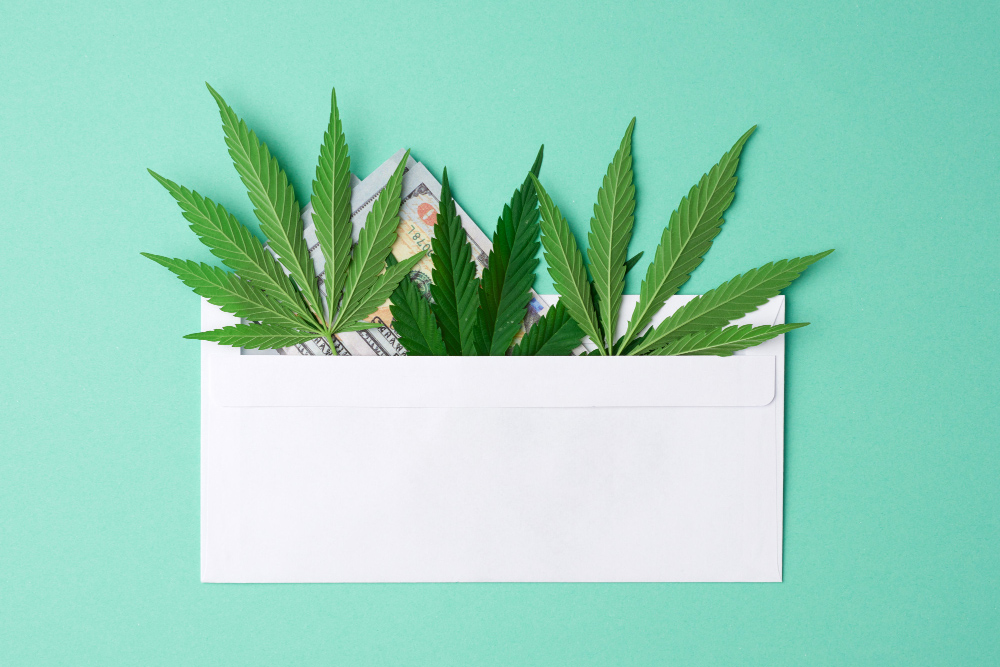 How Often Do You Have to Renew Your Medical Marijuana Card?