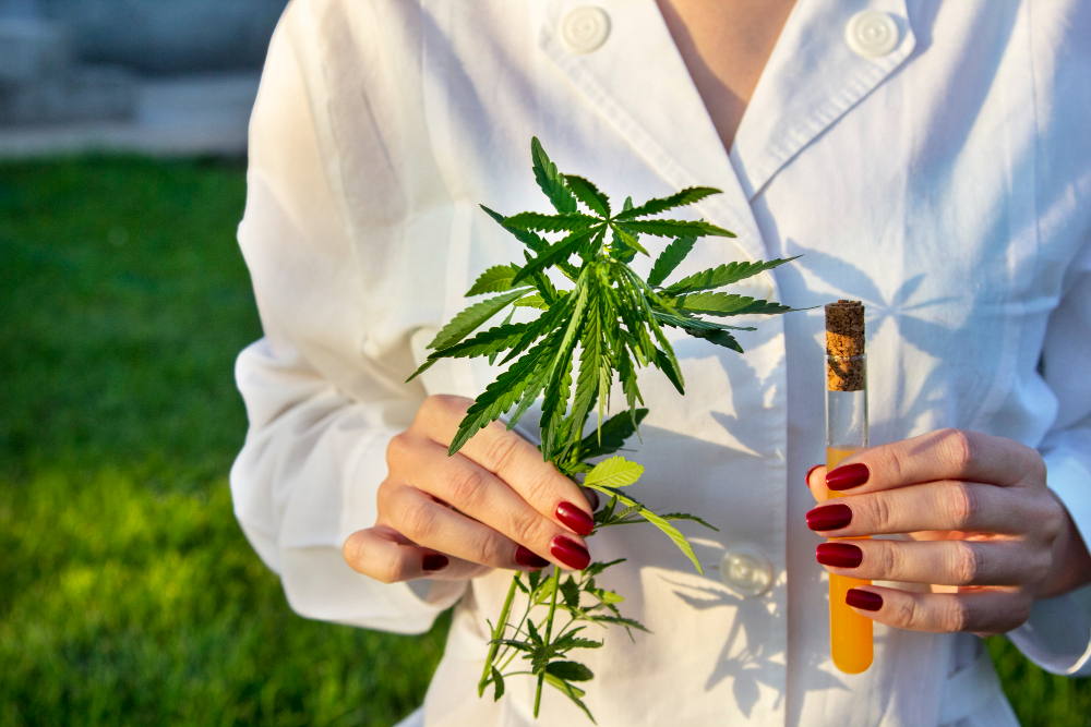 An Introduction to Medical Marijuana