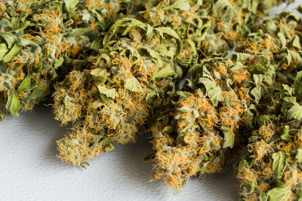 Your Guide to Accessing Medical Marijuana Flower in Florida