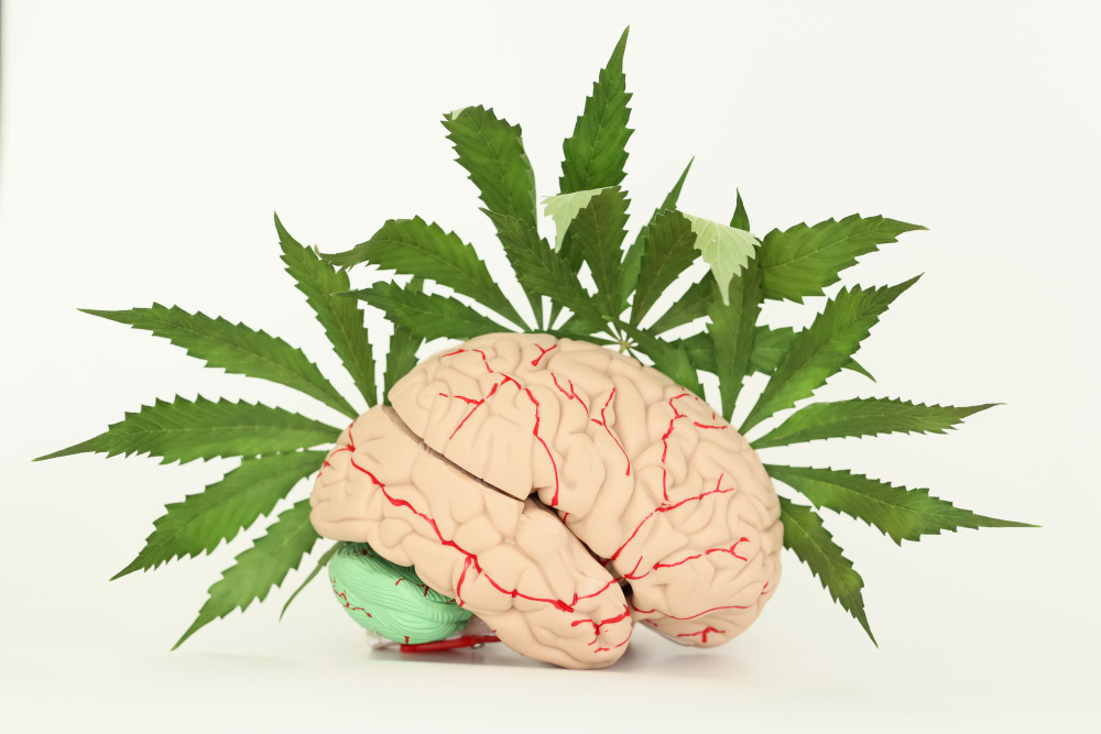 The Impact of Cannabis on Brain Health